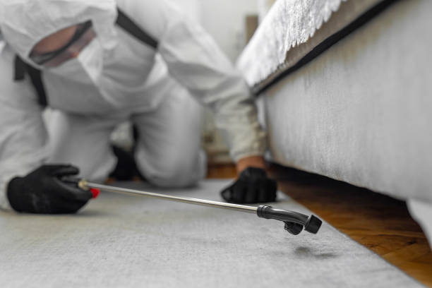 Professional Bed Bug Control technician working in Iron County County, WI